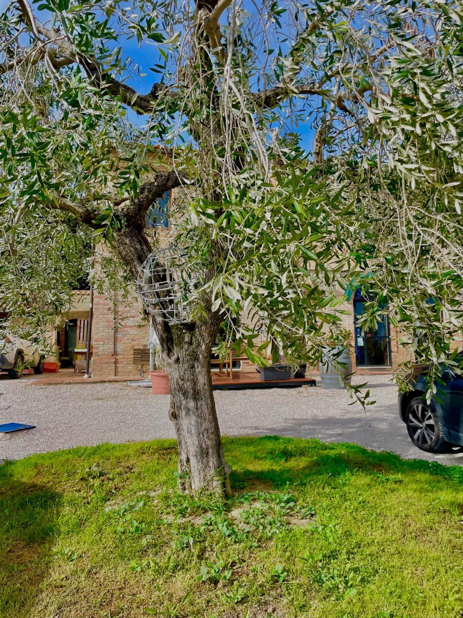 Masseria Tattoni - Residenza Di Campagna - Narramondo Villas Bellante 외부 사진